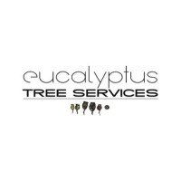 eucalyptustreeau