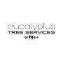 eucalyptustreeau
