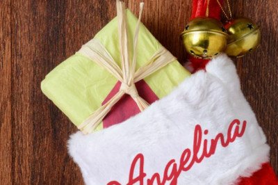 Personalized Christmas Stockings (Smooth and Silky Furs)