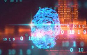 The Reasons Identity Management Should Be A Part Of Our Digital Life