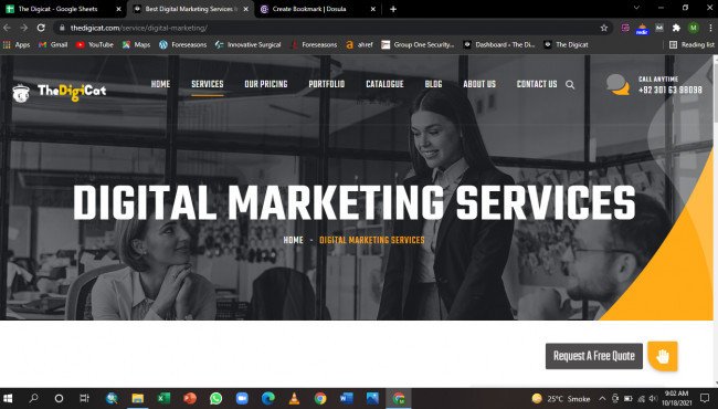 Best Digital Marketing Services In USA & UK - The Digicat