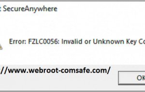 How you can Fix Webroot Error Code FZLC0056?