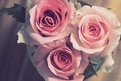 Things to Consider Before Purchasing a Perfume!!