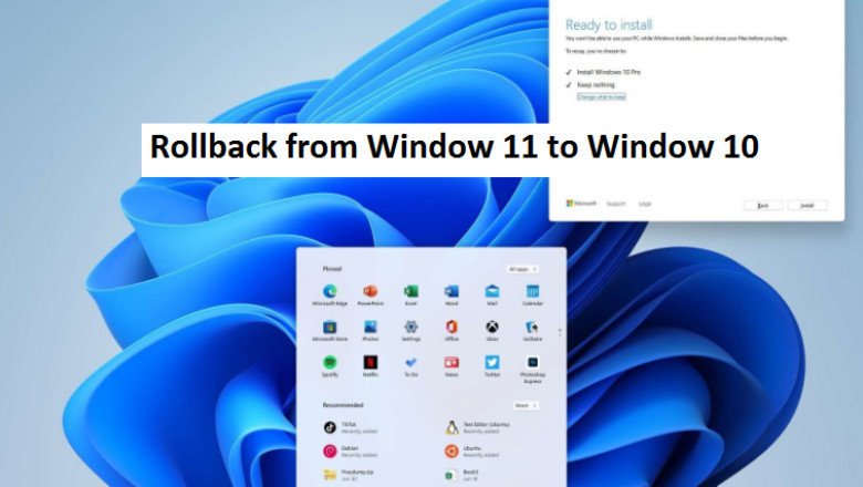 How You Can Rollback from Window 11 to Window 10?