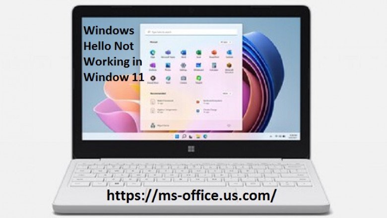 What is the Method To Fix If Windows Hello Not Working in Window 11?