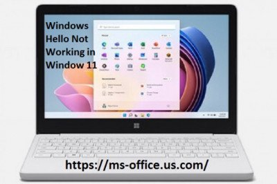 What is the Method To Fix If Windows Hello Not Working in Window 11?