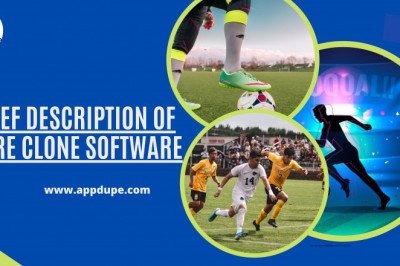 A brief description of Sorare Clone Software