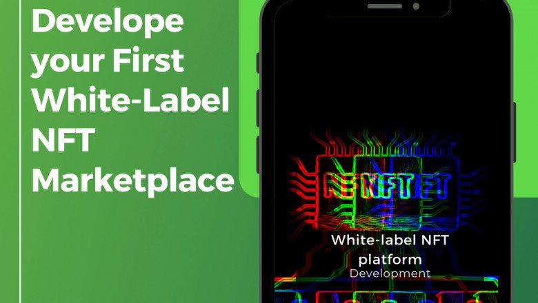 How To Get White-Label NFT Marketplace Solution In A Budget-Friendly Way?