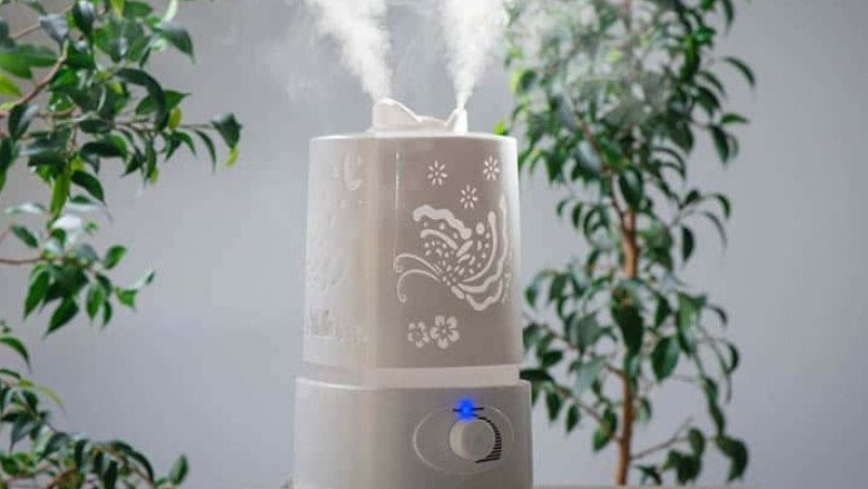 Should I use dehumidifiers in summer or winter?