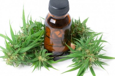 Beginners' guide to terpenes