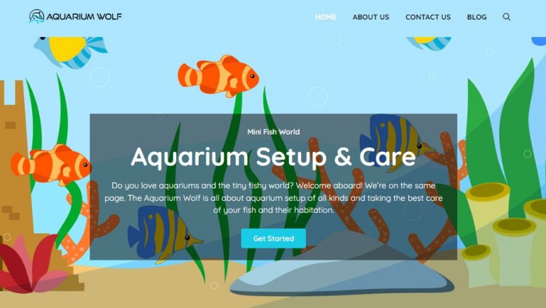 How do you remove fish poop from gravel?