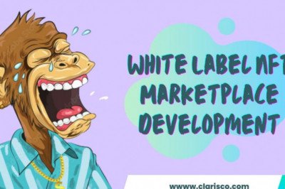 Grab Your Own White Label Nft Marketplace Platform For A 50% Offer