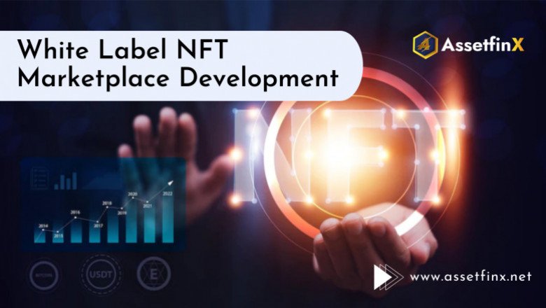 How Does White Label NFT Marketplace Generate Revenue?