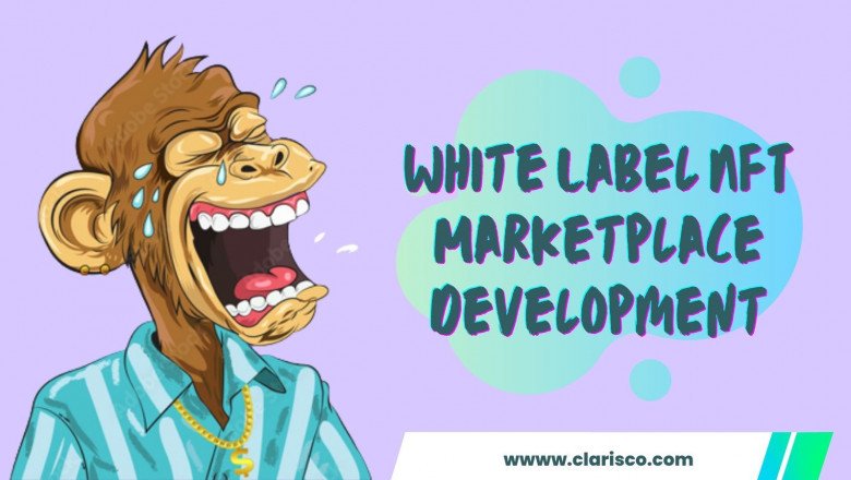 Why Entrepreneurs Prefer White Label NFT Marketplace