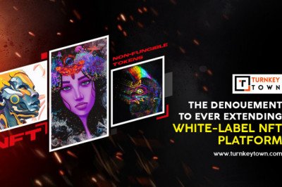 Take your NFT World to the next level with White Label NFT Marketplace Development