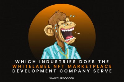 Which Industries Does the Whitelabel NFT Marketplace Development Company Serve?