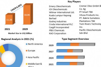 Global Cast Polymers Market  Analysis by Size, Share, Opportunities, Revenue, Future Scope and Analysisand Forecast (2022-2029)