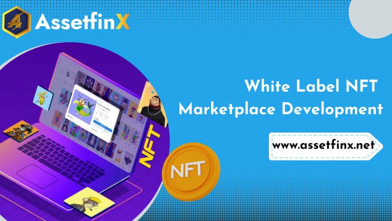 Whitelabel NFT Marketplace Development Process - AssetfinX