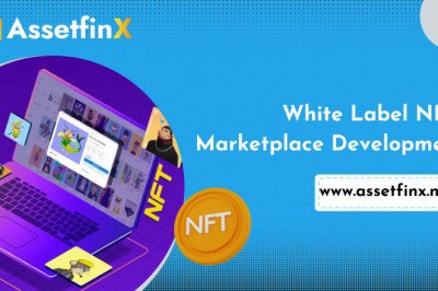 Whitelabel NFT Marketplace Development Process - AssetfinX