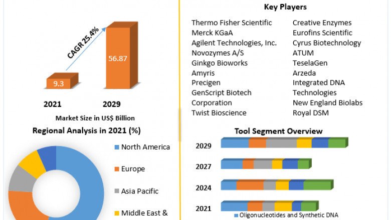 Synthetic Biology Market Leading Players, Revolutionary Opportunities and Forecast 2029