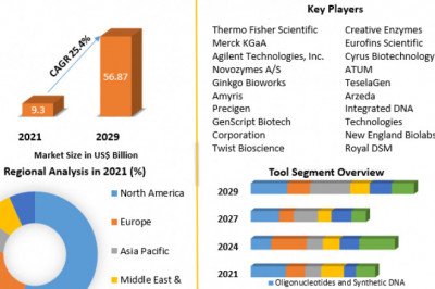 Synthetic Biology Market Leading Players, Revolutionary Opportunities and Forecast 2029