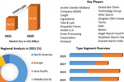 Starch Market  Challenges with Forecast To 2028
