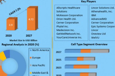 Global Cell Lysis Market Growth Factors, Solution Type, Segmentation and  Forecast 2029