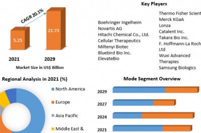 Cell and Gene Therapy Manufacturing Market Size ,share , Analysis, Trends, Outlook, Growth and Forecast 2029