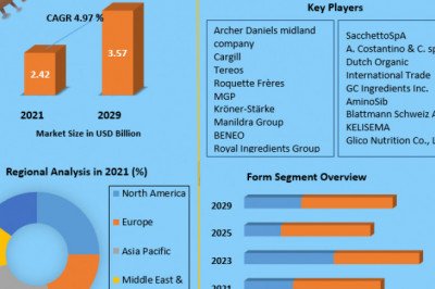 Wheat Protein Market Analysis of The Major Products, Application Segments And Market Size with sales volume and Supply