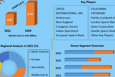 Global Sperm Bank Market Analysis, Industry Growth and Forecast 2029