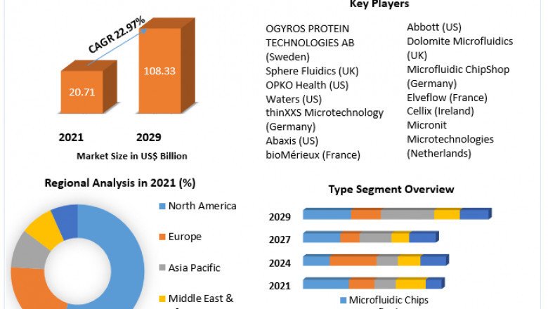 Microfluidics Device Market Growth, Opportunities And Forecast 2029