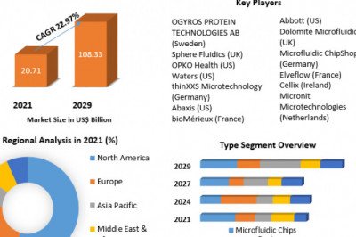 Microfluidics Device Market Growth, Opportunities And Forecast 2029