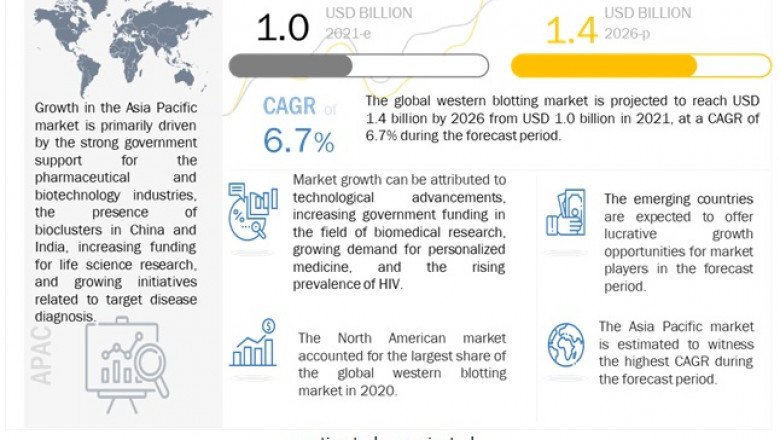 Western Blotting Market |Growing Number of Industry-Academic Research Collaborations