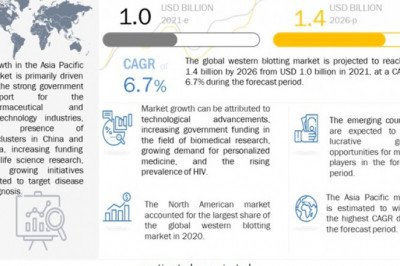 Western Blotting Market |Growing Number of Industry-Academic Research Collaborations