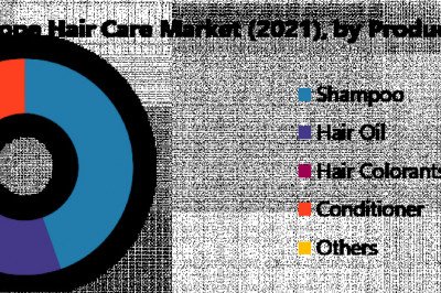 Middle East and Africa Hair Care Market: Industry Analysis and Forecast (2021-2027) Trends, Statistics, Dynamics, Segmentation by Product, Distribution Channel, End User, Type, and Region