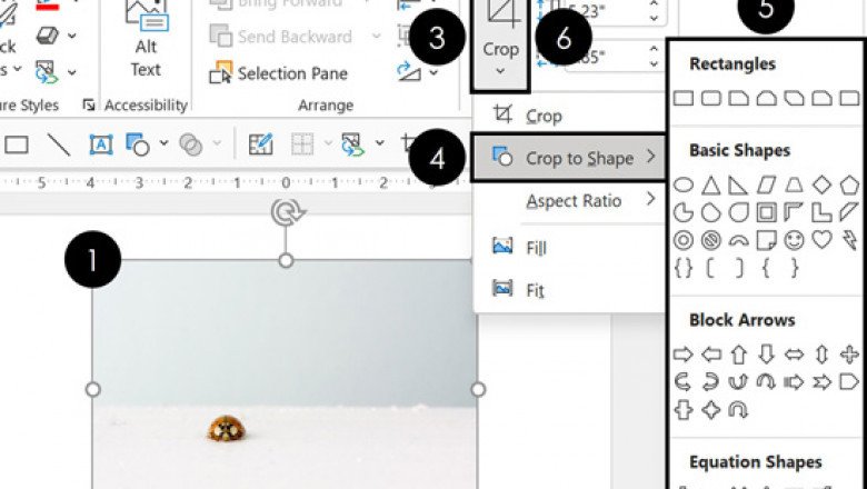 How Do I Crop a Picture in PowerPoint?