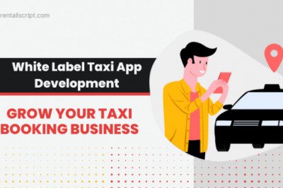 Why white label taxi app is important in the taxi business?
