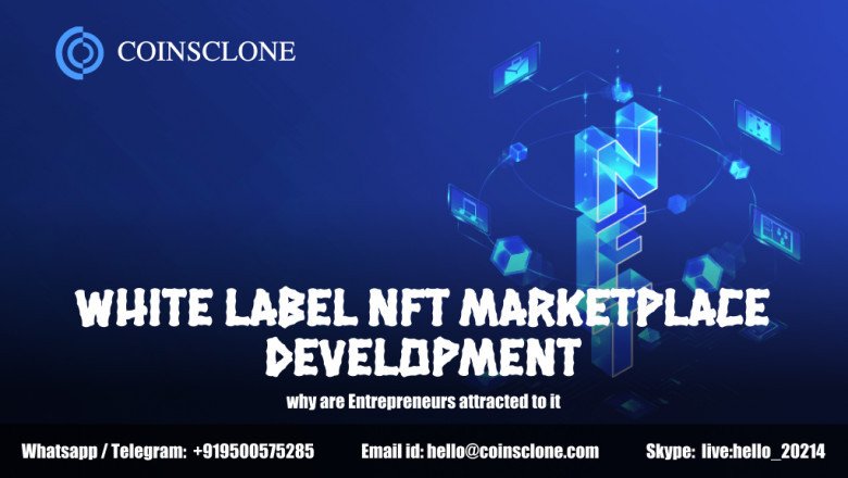 Whitelabel NFT marketplace development - why are Entrepreneurs Prefer it