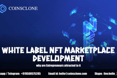 Whitelabel NFT marketplace development - why are Entrepreneurs Prefer it
