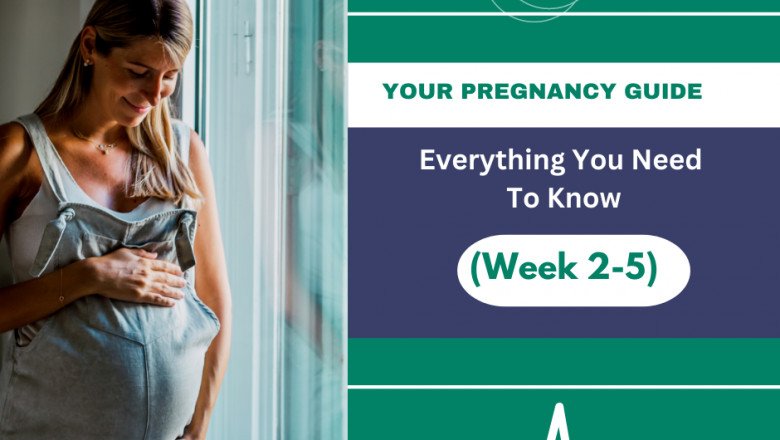 Your Pregnancy Guide: Everything You Need to Know (Week 2-5)