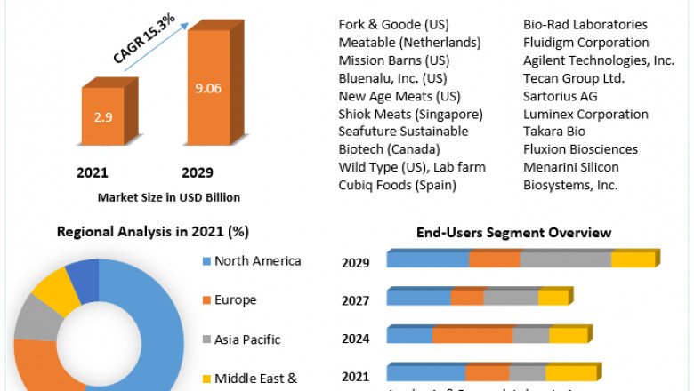 Single Cell Analysis Market Development Trends, Competitive Landscape and Key Regions 2029
