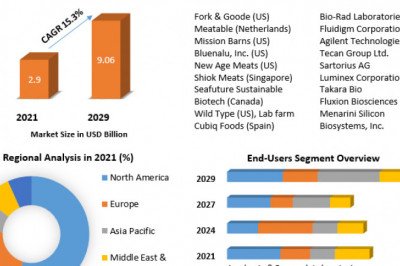 Single Cell Analysis Market Development Trends, Competitive Landscape and Key Regions 2029