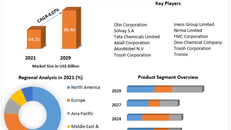 Market segmentation for chlor-alkali, outlook, and industry report through 2029