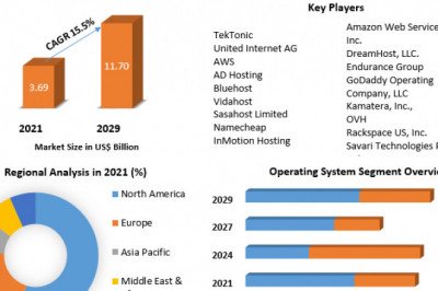 Virtual Private Server Market Growing Trade among Emerging Economies Opening New Opportunities by 2029
