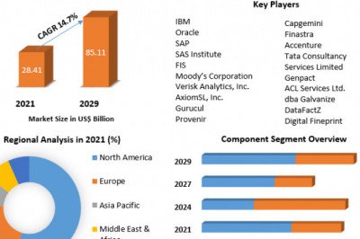Risk Analytics Market Growth, Consumption, Revenue, Future Scope and Growth Rate 2029