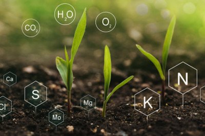 Secondary Macronutrients Market Overview’s Global Industry by Report Forecast 2020-2030.