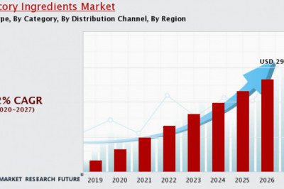 Chicory ingredients Market: Industry Overview’s  by Forecast 2020-2028 | MRFR