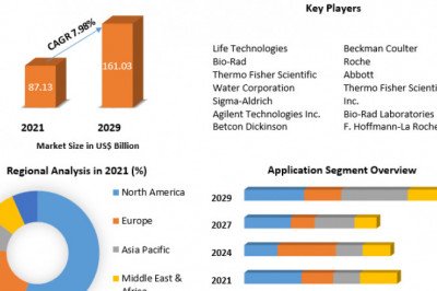 Market Development Trends, Competitive Environment, and Important Regions for Biotechnology Reagents in 2029
