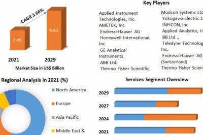 Process Analyzer Market Growth Scenario, Competitive Analysis and Forecasts to 2029