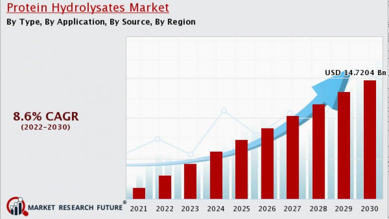 Protein Hydrolysates Market Report Overview’s Key Player, Business Prospect, Forecast 2020-2030.